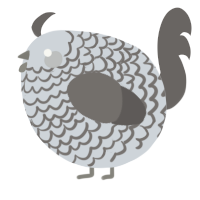 A mist and grey chicken with a lace pattern