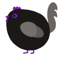 A sable and grey chicken