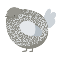 A ash and mist chicken with a double-lace pattern