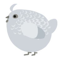 A mist chicken with a half-lace pattern