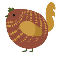 A russet and gold chicken with a bar pattern