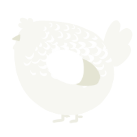 A white chicken with a half-lace pattern