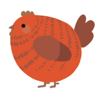 A vermilion and russet chicken with a bar pattern