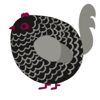 A sable and ash chicken with a lace pattern