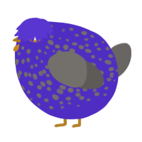 A indigo and grey chicken with a speckle pattern