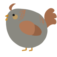 A ash and brown chicken with a neck-band pattern