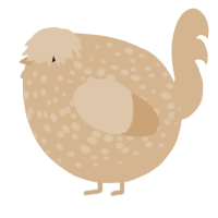 A beige chicken with a speckle pattern