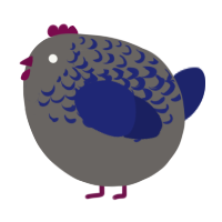 A grey and navy chicken with a half-lace pattern