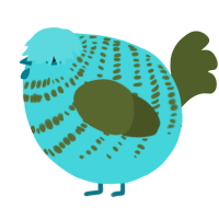 A aqua and olive chicken with a bar pattern