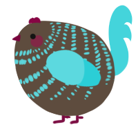 A bark and aqua chicken with a bar pattern
