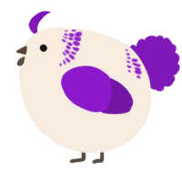 A cream and violet chicken with a neck-band pattern
