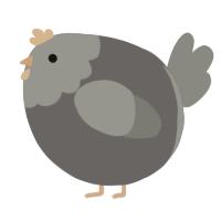 A grey and ash chicken with a head pattern