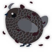 A silver and ash chicken with a lace pattern