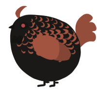 A sable and russet chicken with a half-lace pattern
