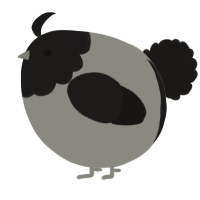 A ash and sable chicken with a head pattern