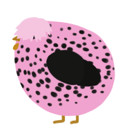 A pink and black chicken with a speckle pattern