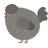 A ash and grey chicken with a lace pattern
