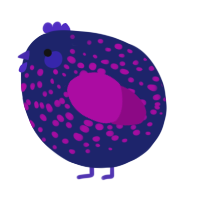 A navy and plum chicken with a speckle pattern