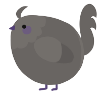 A grey chicken with a head pattern