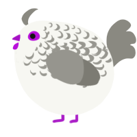 A white and ash chicken with a half-lace pattern