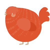 A vermilion chicken with a bar pattern