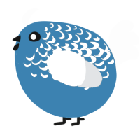A sapphire and mist chicken with a half-lace pattern