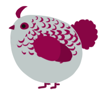 A silver and maroon chicken with a half-lace pattern