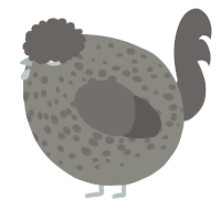 A ash and grey chicken with a speckle pattern