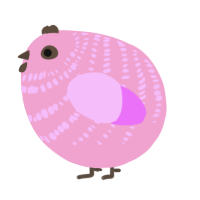 A pink and lavender chicken with a bar pattern
