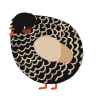 A black and beige chicken with a lace pattern