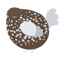 A bark and mist chicken with a speckle pattern