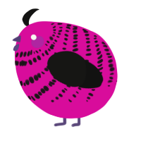 A fuchsia and black chicken with a bar pattern