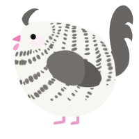 A white and grey chicken with a bar pattern