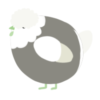 A ash and white chicken with a head pattern