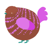 A russet and orchid chicken with a bar pattern