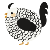 A white and sable chicken with a lace pattern