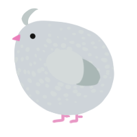 A mist and silver chicken with a speckle pattern