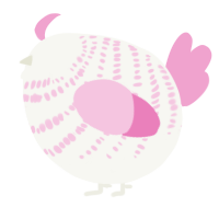 A white and pink chicken with a bar pattern