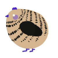A beige and black chicken with a bar pattern