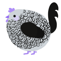 A mist and black chicken with a double-lace pattern