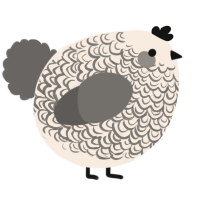 A cream and grey chicken with a double-lace pattern