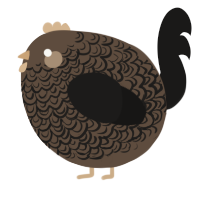 A bark and sable chicken with a double-lace pattern