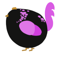 A black and orchid chicken with a neck-speckle pattern