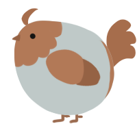 A silver and brown chicken with a head pattern