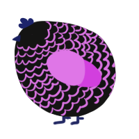 A black and orchid chicken with a lace pattern