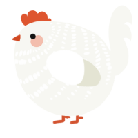 A white chicken with a bar pattern