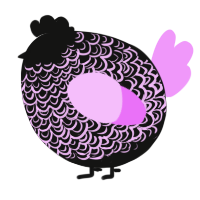 A black and lavender chicken with a double-lace pattern