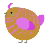 A gold and orchid chicken with a bar pattern