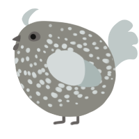 A ash and silver chicken with a speckle pattern