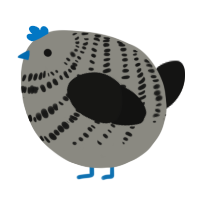 A ash and black chicken with a bar pattern